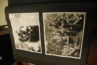 Thumbnail for P: Camp Training 1952