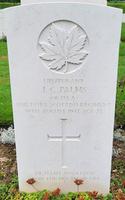 Thumbnail for Dieppe CWC - Palms - Lieutenant