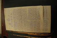 Thumbnail for D: Liberation of Holland by Douglas William McIntyre
