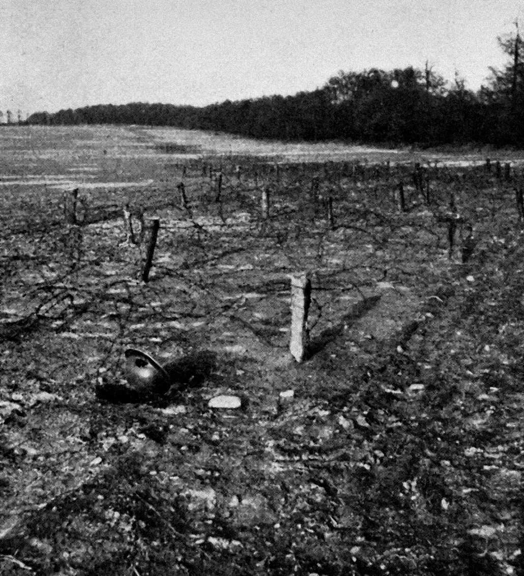 Open field and second barbed wire obstacle guarding the Hochwald Forest, March 1945.